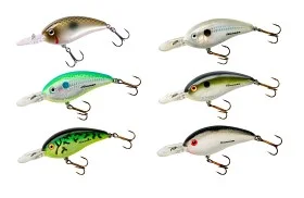 fiske202606081109473238361
