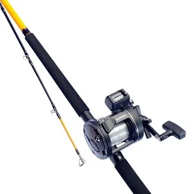 fiske202606081112053238792
