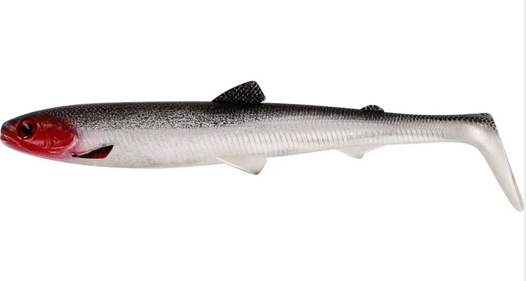 fiskedags202606080904173226243