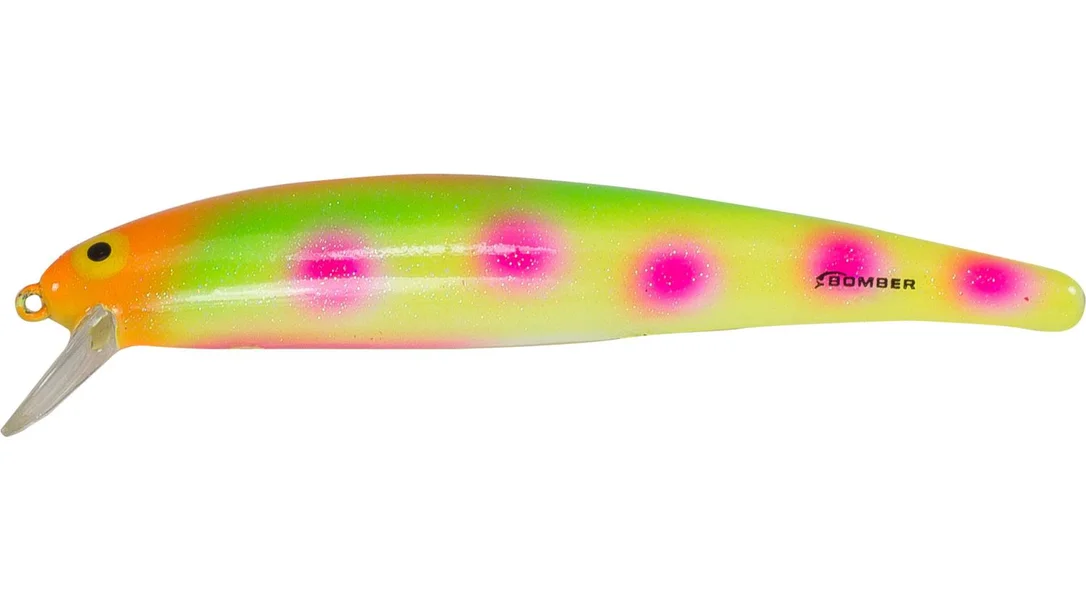 fiskedags202606080938273228254
