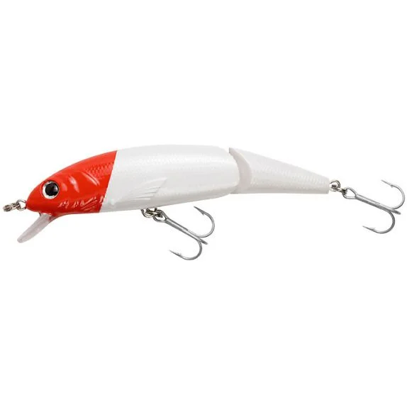 fiskedags202606081000443229568