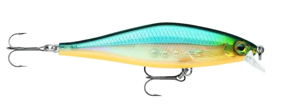 fiskedags202606081005183229829