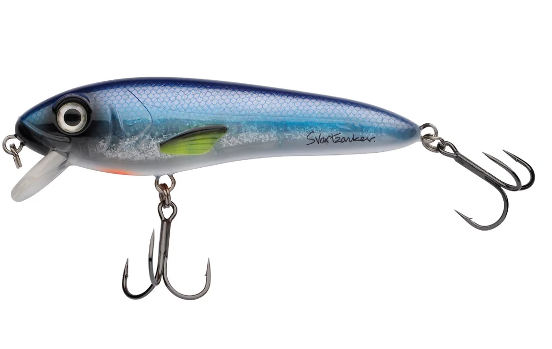 fiskedags202606081009583230188