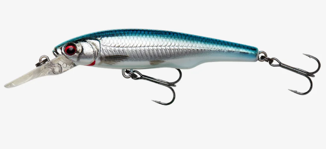 fiskedags202606081012573230502