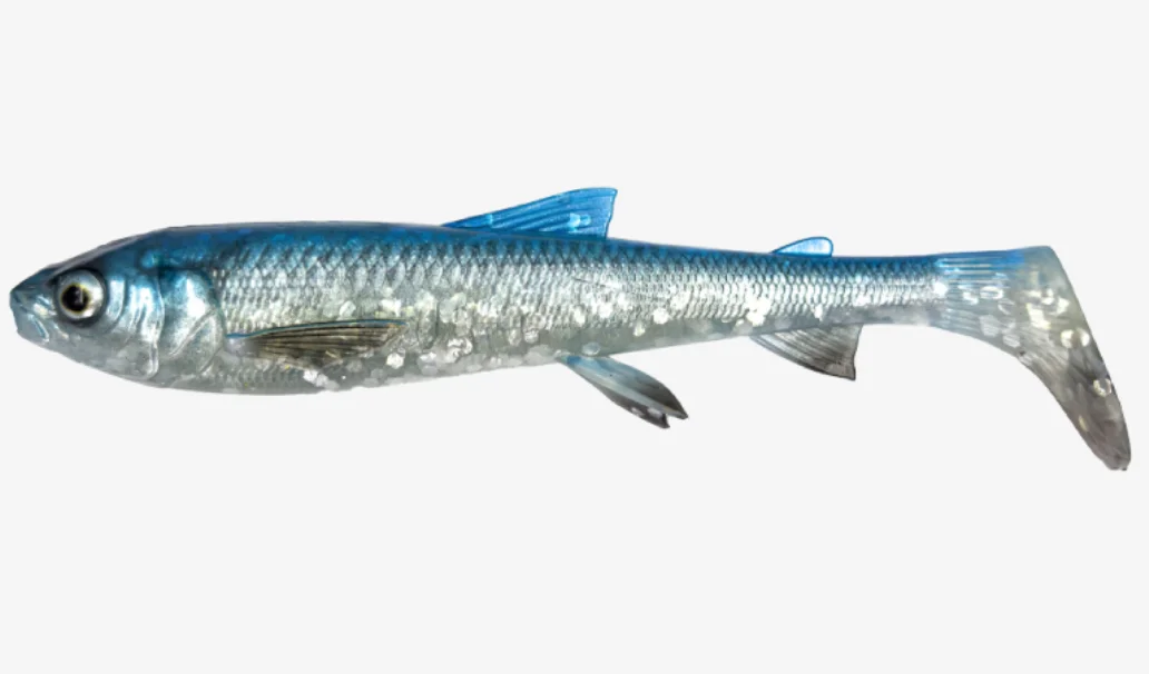 fiskedags202606081013513230596