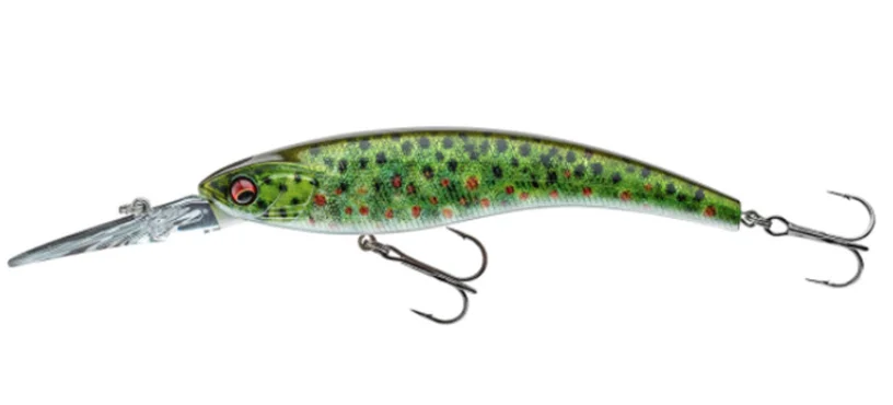 fiskedags202606081015583230795