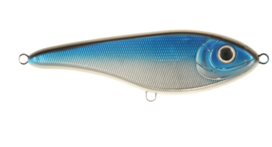 fiskedags202606081019203231161