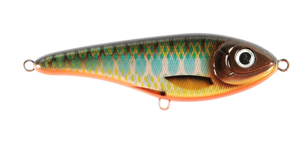 fiskedags202606081020163231274