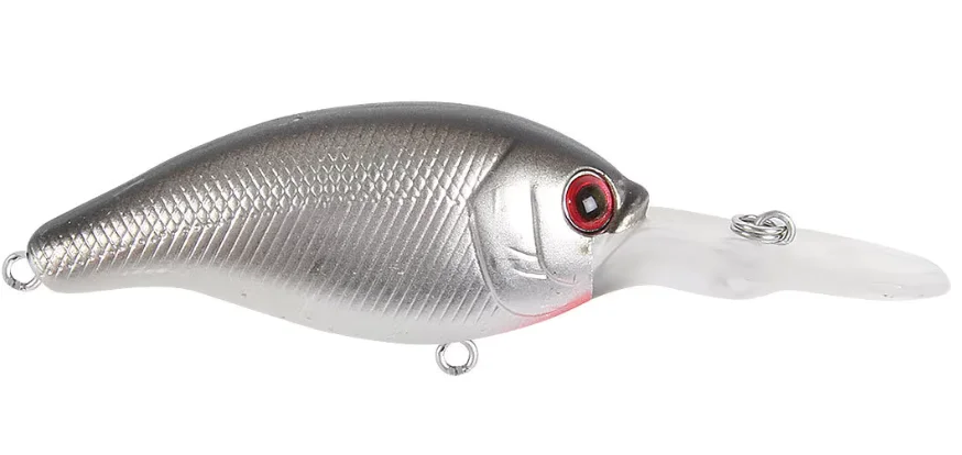 fiskedags202606081023213231612