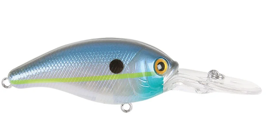 fiskedags202606081023223231614