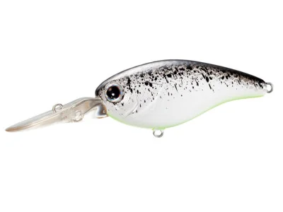 fiskedags202606081026113231943