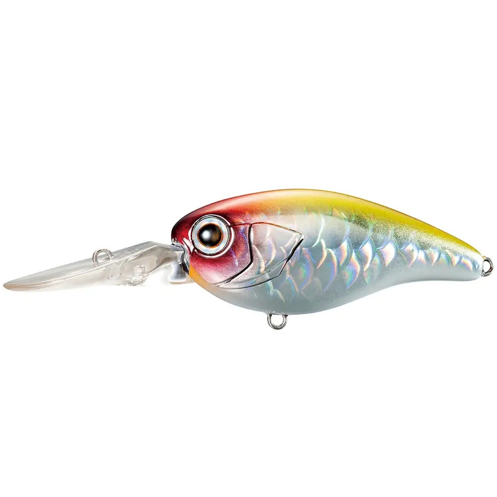 fiskedags202606081026153231955