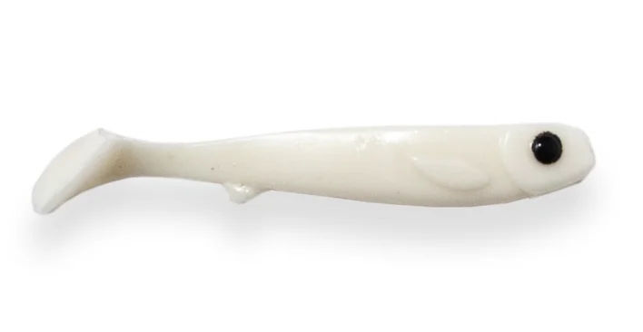 fiskedags202606081026403231988