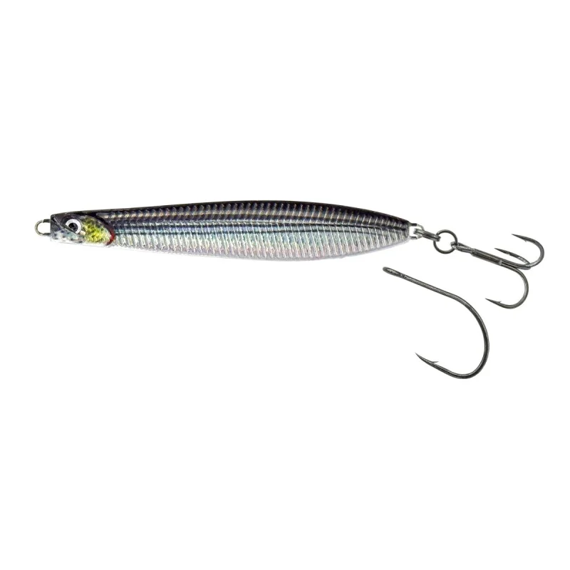 fiskedags202606081027003232033