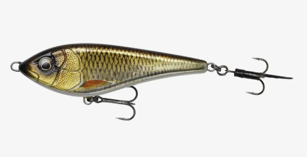 fiskedags202606081030163232379