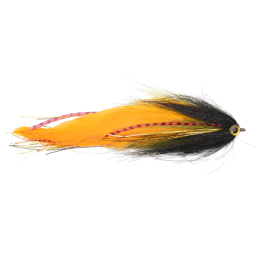 fiskedags202606081032013232597