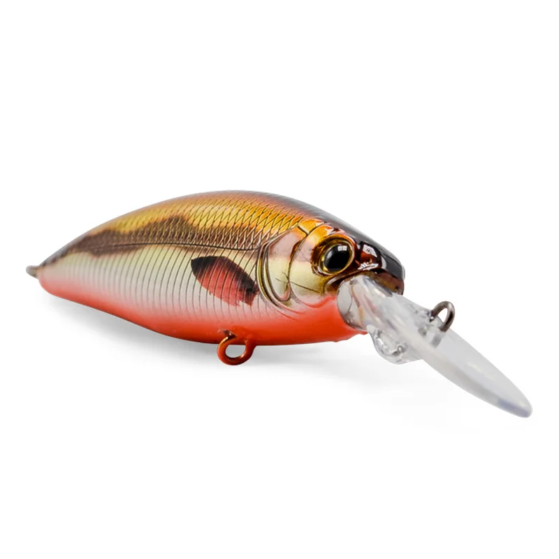 fiskedags202606081035133233159