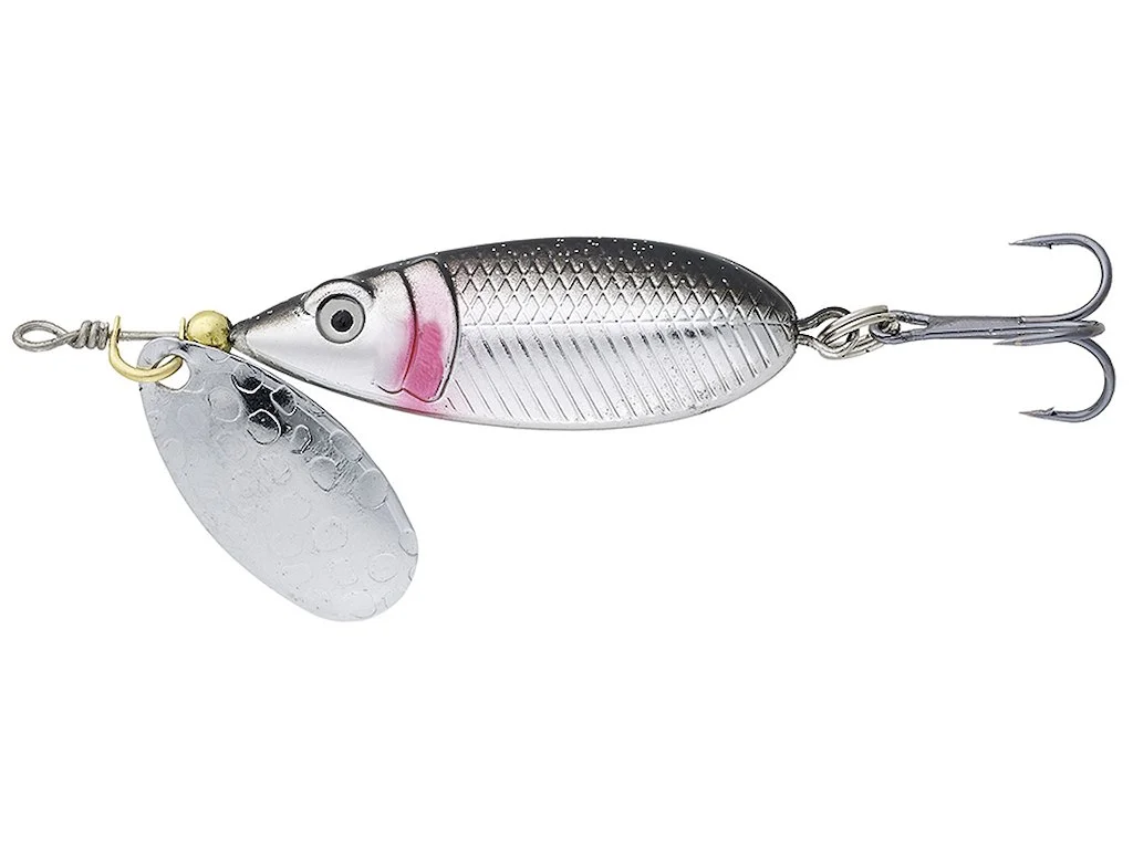 fiskedags202606081039033233846