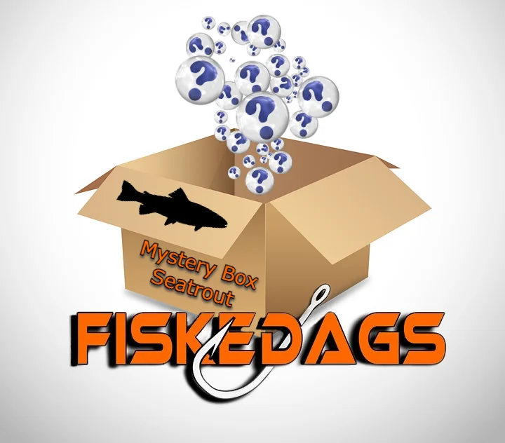 fiskedags202606081043293234507