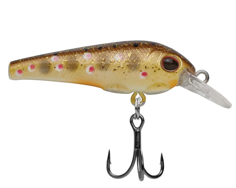 fiskedags202606081048353235262