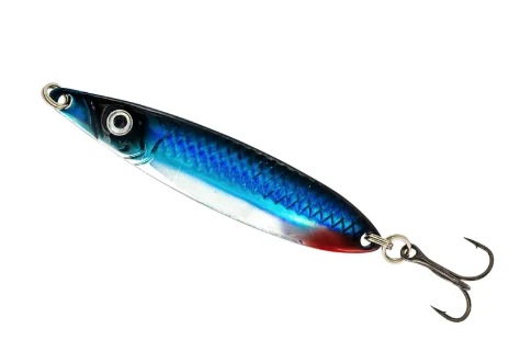 fiskedags202606081056313236302