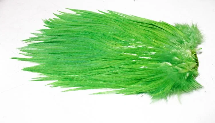 fiskedags202606081056523236345