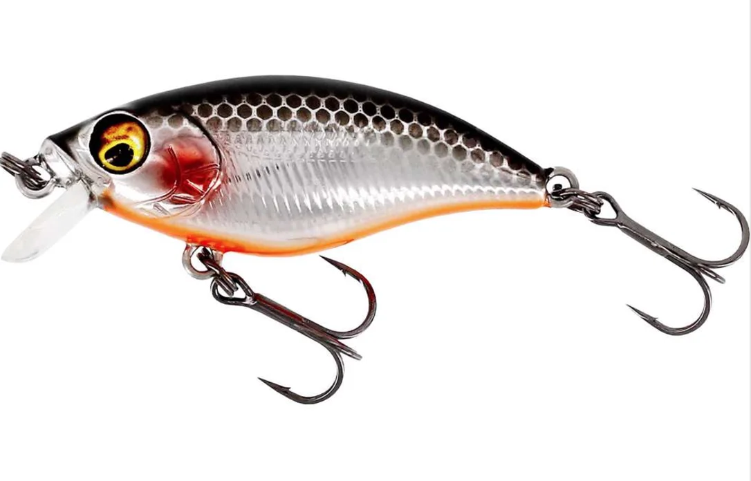 fiskedags202606081057213236407