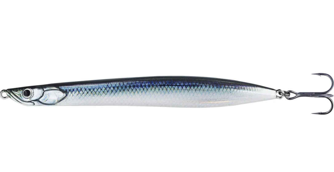 fiskedags202606081058273236567