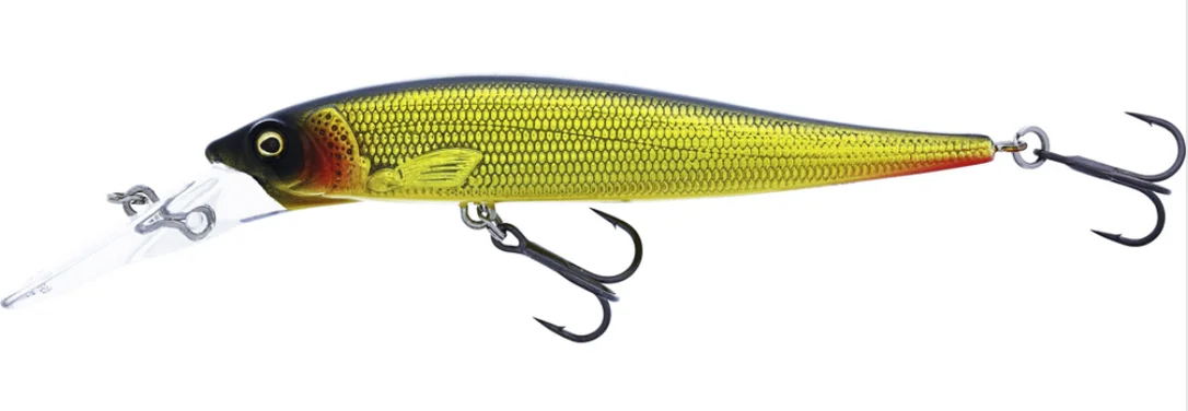 fiskedags202606081100233236851