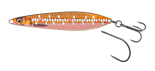 fiskedags202606081105563237735