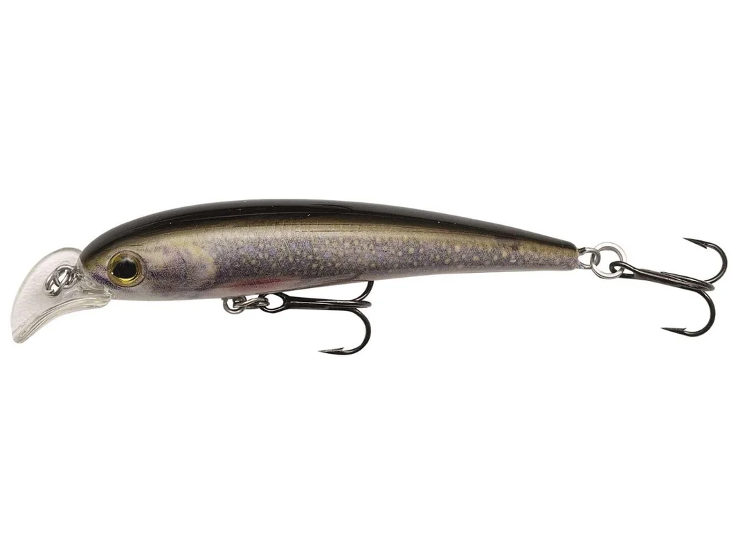fiskedags202606081111013238609