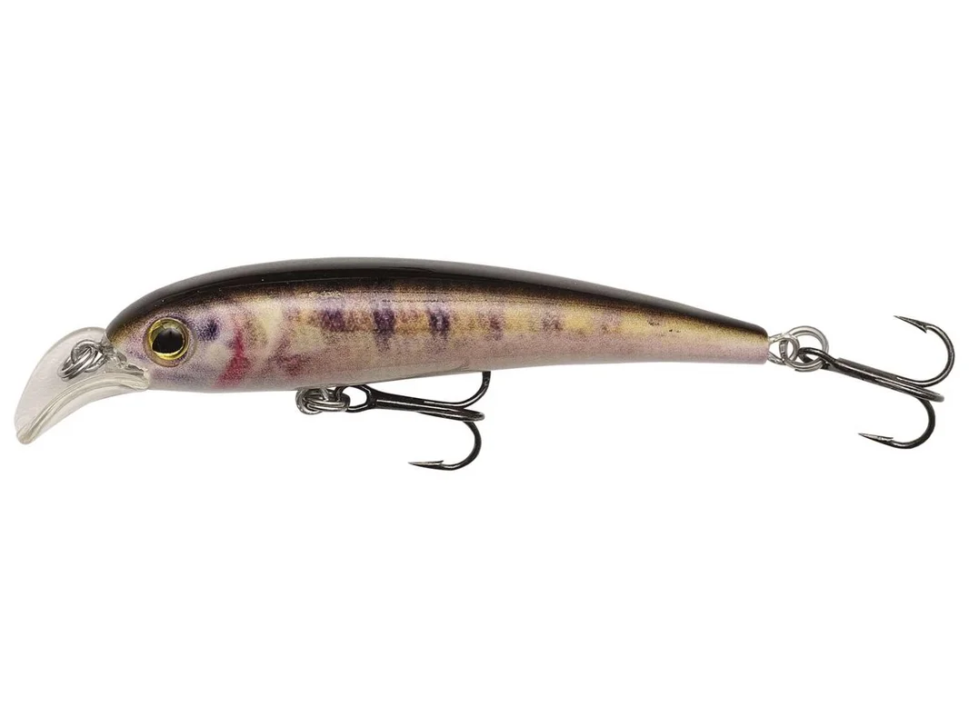 fiskedags202606081111023238611