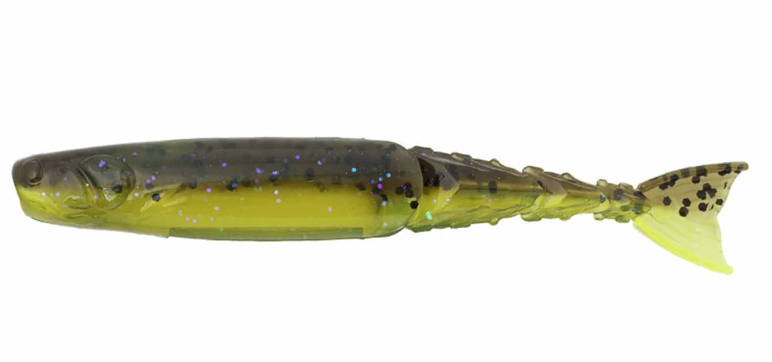 fiskedags202606081113423239018