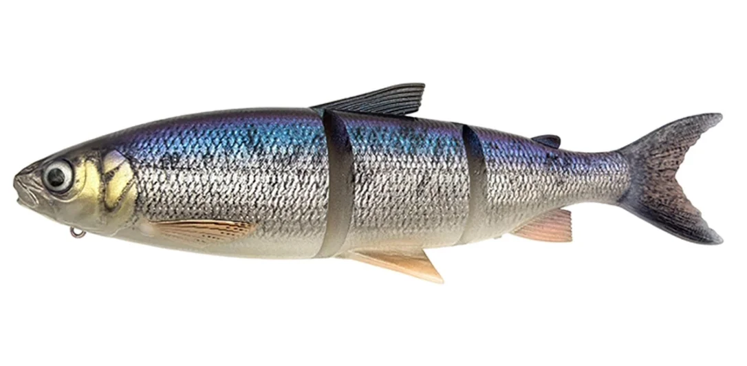 fiskedags202606081115173239211