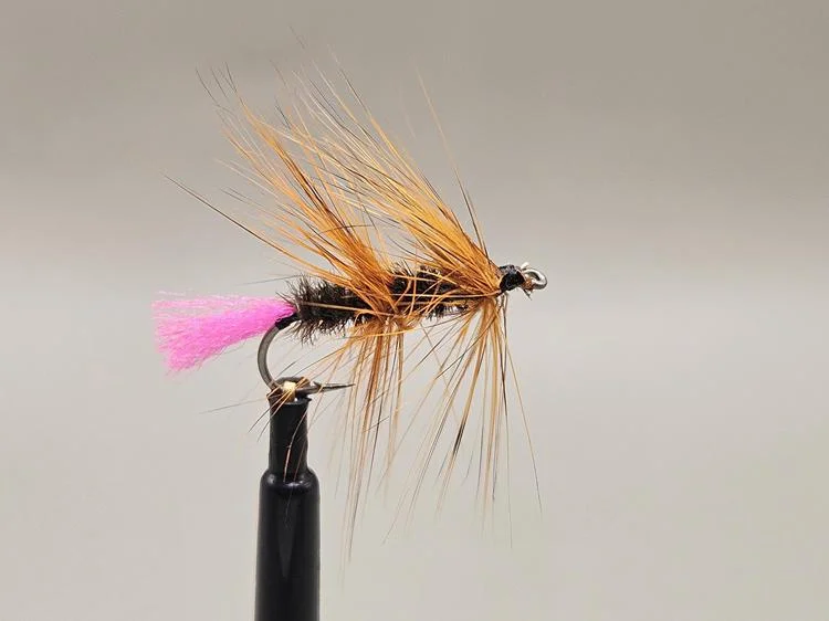 fiskedags202606081115393239264