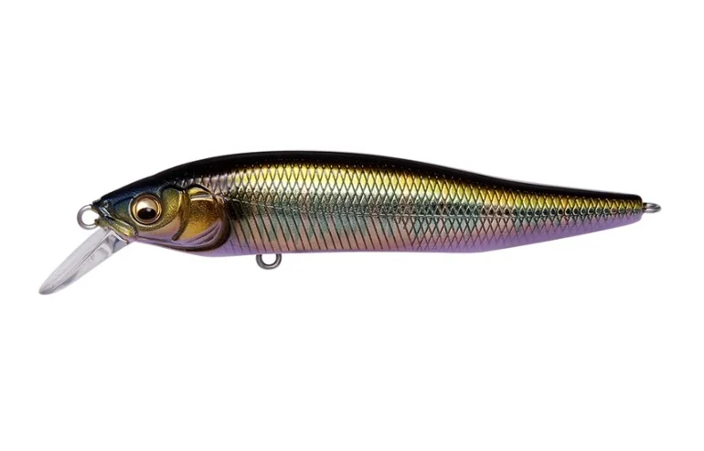 fiskedags202606081116383239394