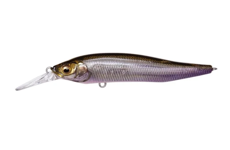 fiskedags202606081116403239398