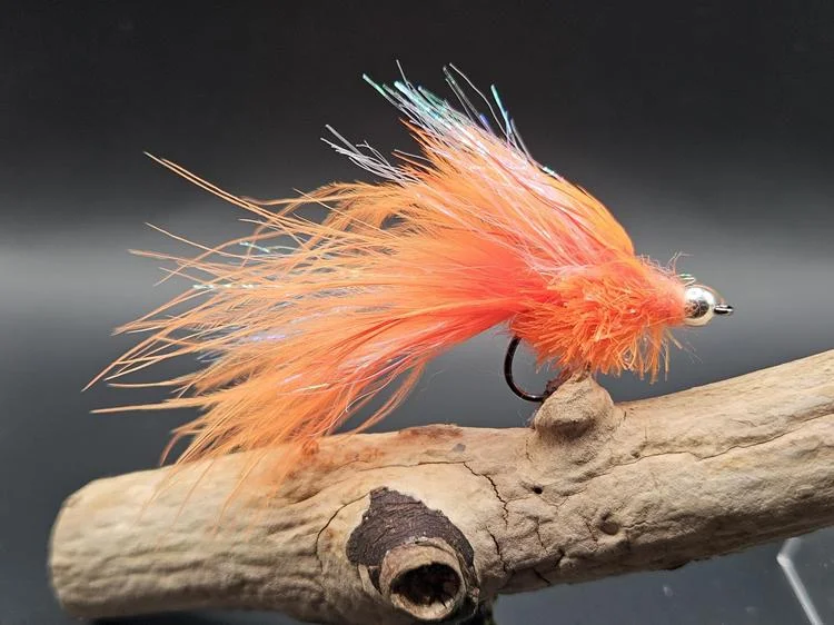 fiskedags202606081117043239442