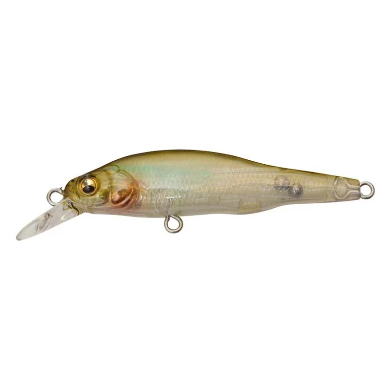 fiskedags202606081117173239467
