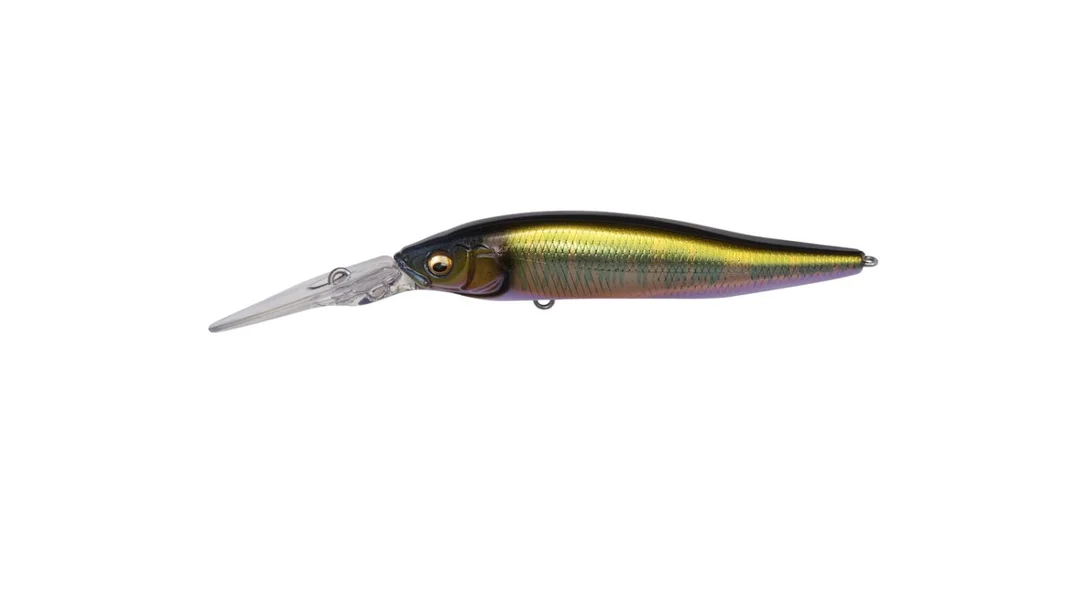 fiskedags202606081117193239471