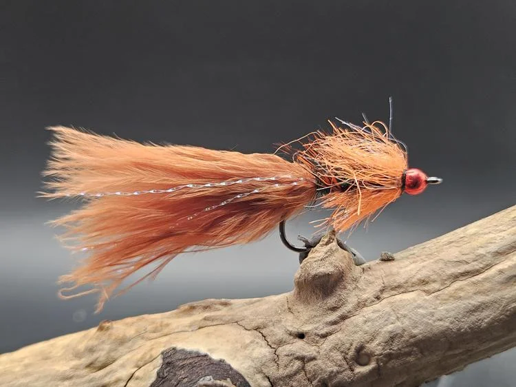 fiskedags202606081117543239543