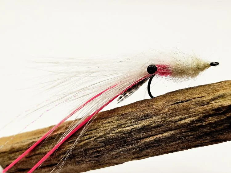 fiskedags202606081118523239701