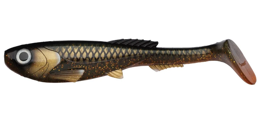 fiskedags202606081119243239777