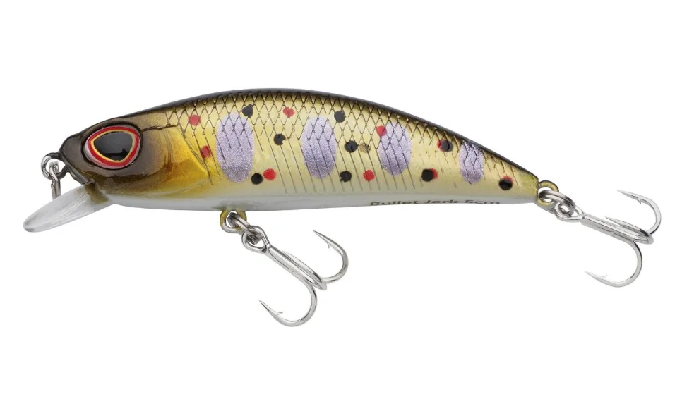 fiskedags202606081119273239786