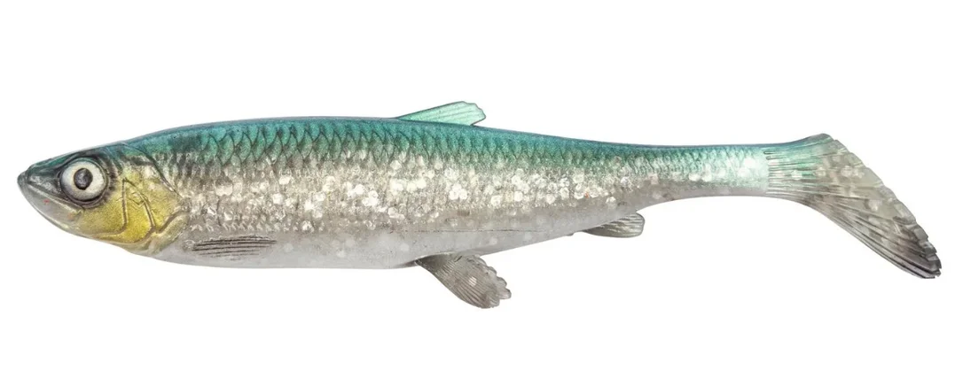 fiskedags202606081121283240116