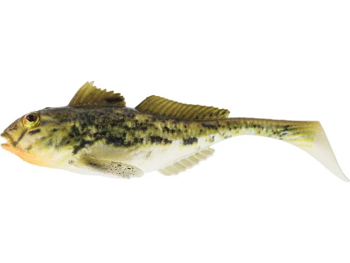 fiskedags202606081130113241476