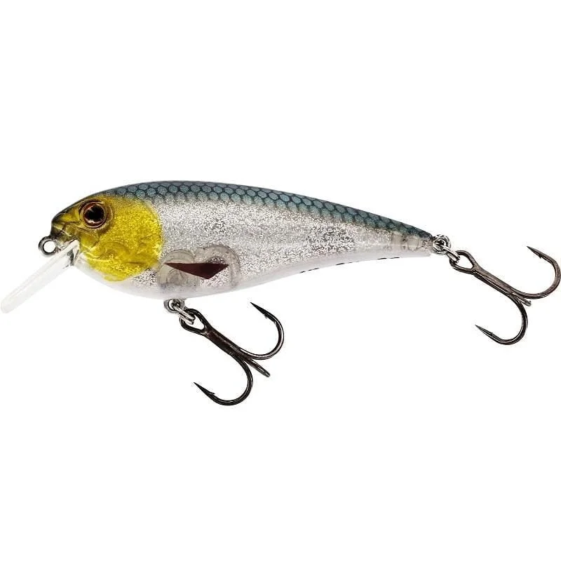 fiskeonline202606081135493242302