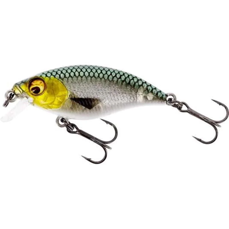 fiskeonline202606081205423246789