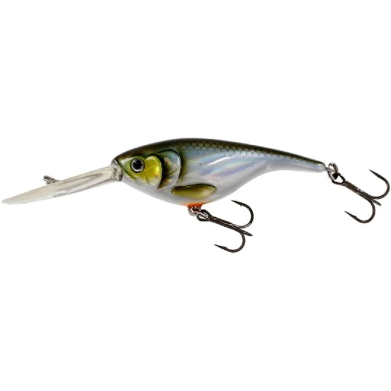 fiskeonline202606081205513246807