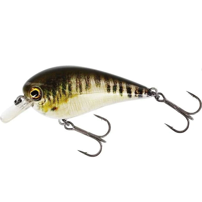 fiskeonline202606081248123254182